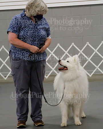2021 SCA OBEDIENCE-RALLY-2543