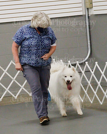 2021 SCA OBEDIENCE-RALLY-2557