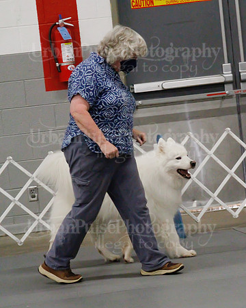 2021 SCA OBEDIENCE-RALLY-2567