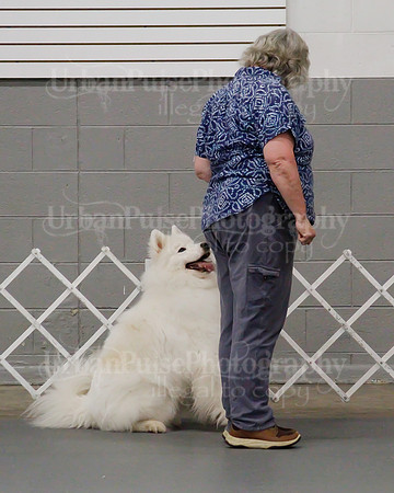 2021 SCA OBEDIENCE-RALLY-2565