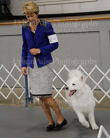 2021 SCA OBEDIENCE-RALLY-2590