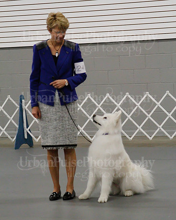 2021 SCA OBEDIENCE-RALLY-2601