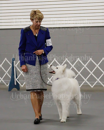 2021 SCA OBEDIENCE-RALLY-2604