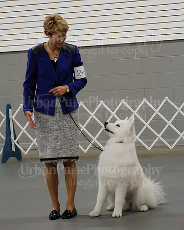 2021 SCA OBEDIENCE-RALLY-2606
