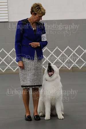 2021 SCA OBEDIENCE-RALLY-2615