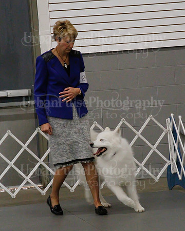 2021 SCA OBEDIENCE-RALLY-2623