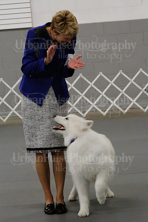 2021 SCA OBEDIENCE-RALLY-2619