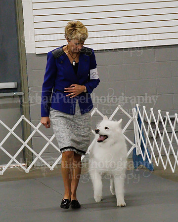 2021 SCA OBEDIENCE-RALLY-2625