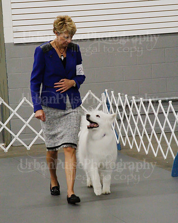 2021 SCA OBEDIENCE-RALLY-2626