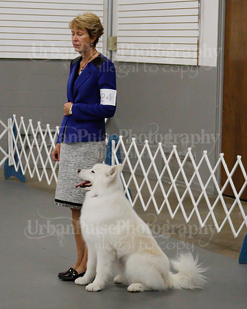 2021 SCA OBEDIENCE-RALLY-2638