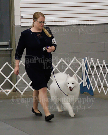 2021 SCA OBEDIENCE-RALLY-2655