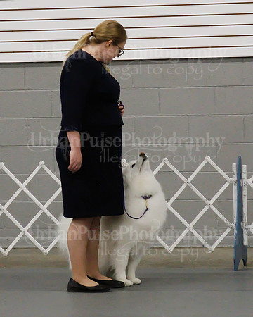 2021 SCA OBEDIENCE-RALLY-2659