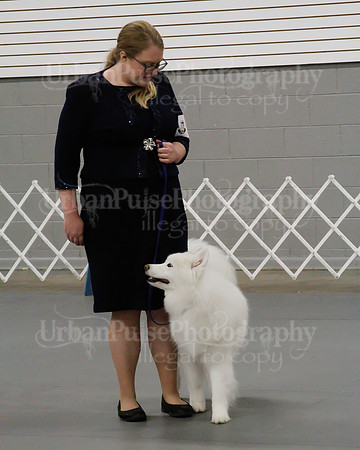 2021 SCA OBEDIENCE-RALLY-2665