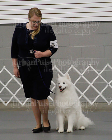 2021 SCA OBEDIENCE-RALLY-2662