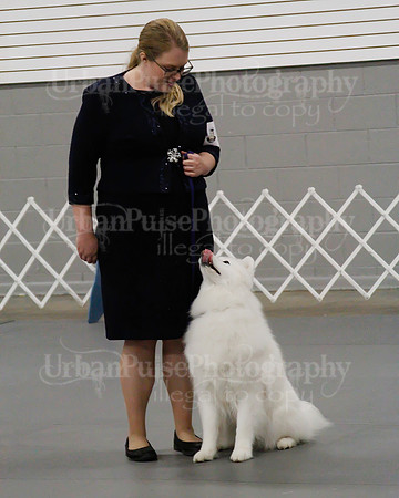 2021 SCA OBEDIENCE-RALLY-2667