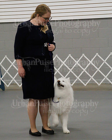 2021 SCA OBEDIENCE-RALLY-2670