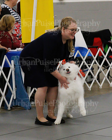 2021 SCA OBEDIENCE-RALLY-2694