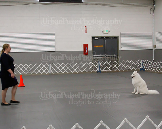 2021 SCA OBEDIENCE-RALLY-2698