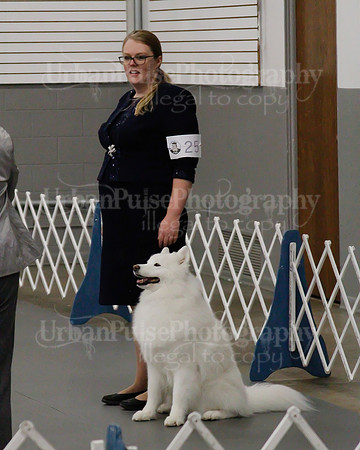2021 SCA OBEDIENCE-RALLY-2685