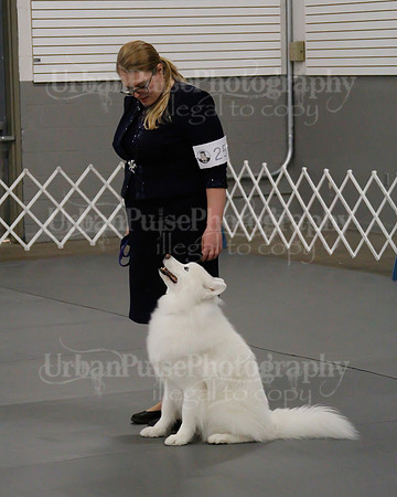2021 SCA OBEDIENCE-RALLY-2699