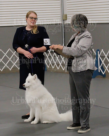 2021 SCA OBEDIENCE-RALLY-2700