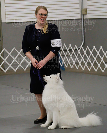 2021 SCA OBEDIENCE-RALLY-2701