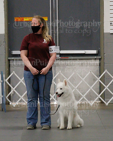 2021 SCA OBEDIENCE-RALLY-2704