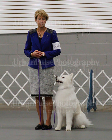 2021 SCA OBEDIENCE-RALLY-2706