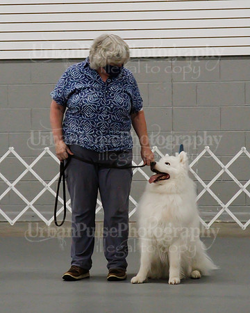 2021 SCA OBEDIENCE-RALLY-2705