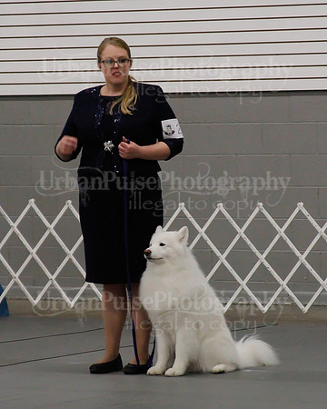 2021 SCA OBEDIENCE-RALLY-2707