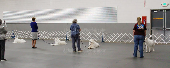 2021 SCA OBEDIENCE-RALLY-2721