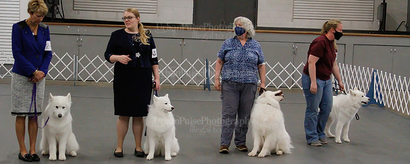 2021 SCA OBEDIENCE-RALLY-2737