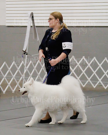 2021 SCA OBEDIENCE-RALLY-2730