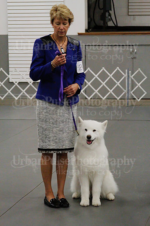 2021 SCA OBEDIENCE-RALLY-2739
