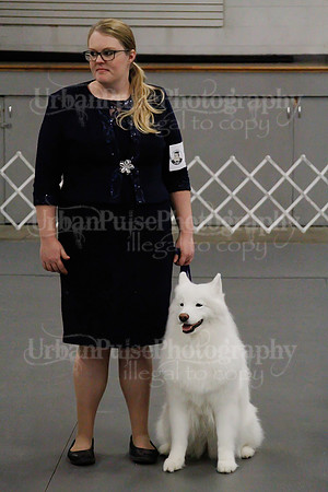 2021 SCA OBEDIENCE-RALLY-2740