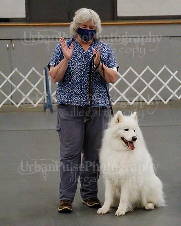 2021 SCA OBEDIENCE-RALLY-2741