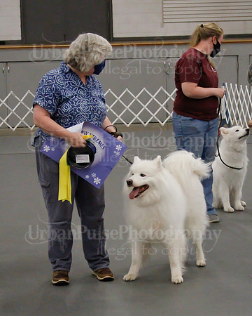 2021 SCA OBEDIENCE-RALLY-2748
