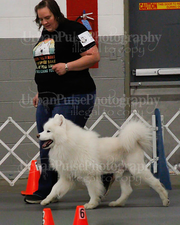 2021 SCA OBEDIENCE-RALLY-2751