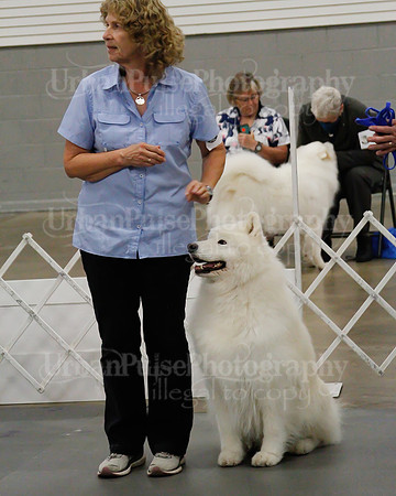 2021 SCA OBEDIENCE-RALLY-2772