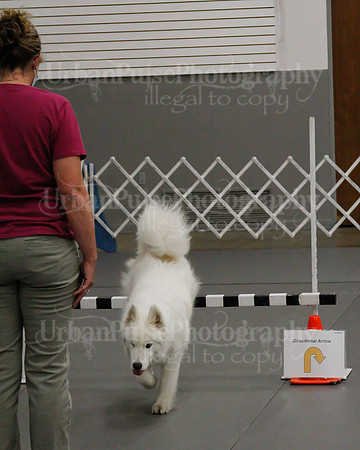 2021 SCA OBEDIENCE-RALLY-2797