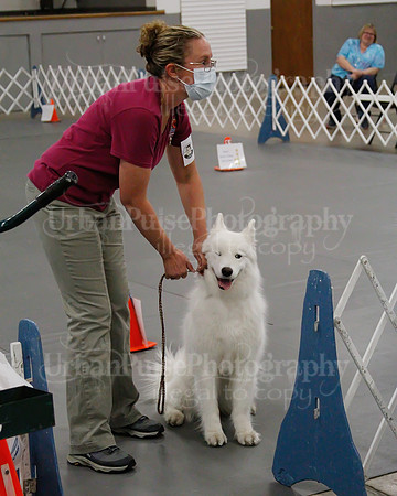 2021 SCA OBEDIENCE-RALLY-2798