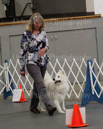 2021 SCA OBEDIENCE-RALLY-2804
