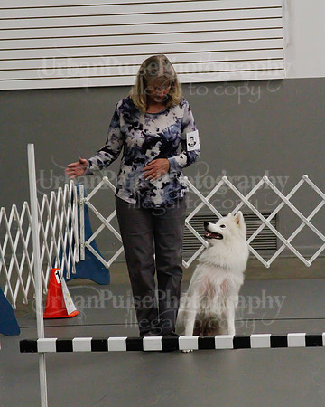 2021 SCA OBEDIENCE-RALLY-2808