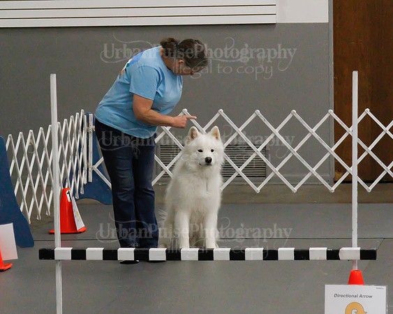 2021 SCA OBEDIENCE-RALLY-2816