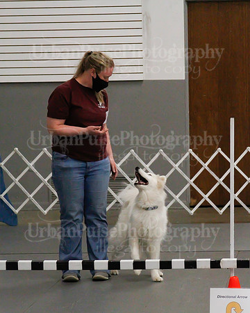 2021 SCA OBEDIENCE-RALLY-2825