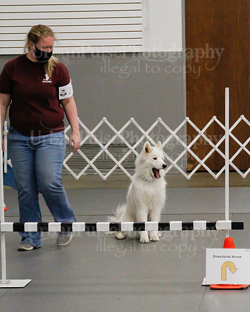 2021 SCA OBEDIENCE-RALLY-2826