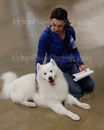 2021 SCA OBEDIENCE-RALLY-2830