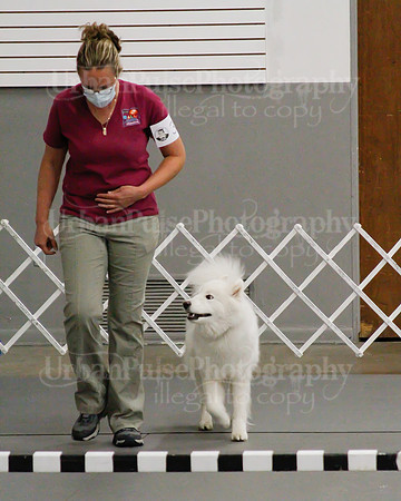 2021 SCA OBEDIENCE-RALLY-2835