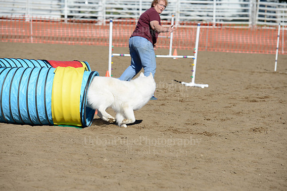 AGILITY-2007