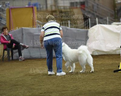 SCA2016_AG MON STD NOVICE-1082